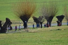 050